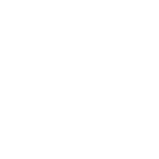 Xixus1337's emblem