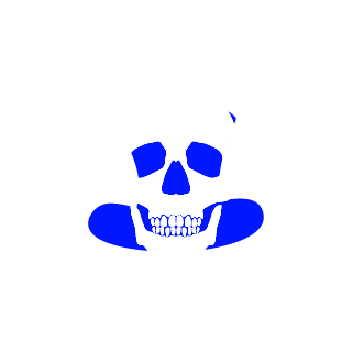someREALskills's emblem