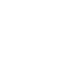CarnivoreVegan1's emblem