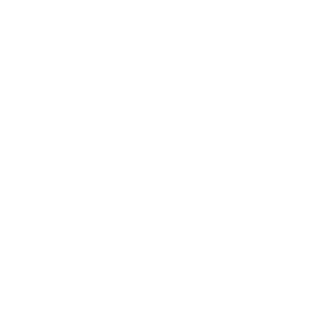 bulbulator0's emblem