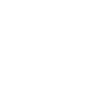 ilya_volkov_1995's emblem