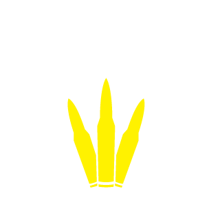 495827's emblem
