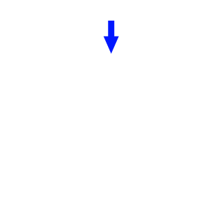 rLyFiNN's emblem