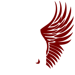 IonrayMcCloud's emblem