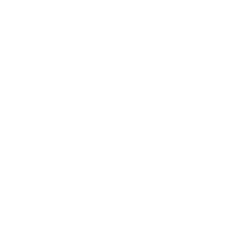 DSerigo's emblem