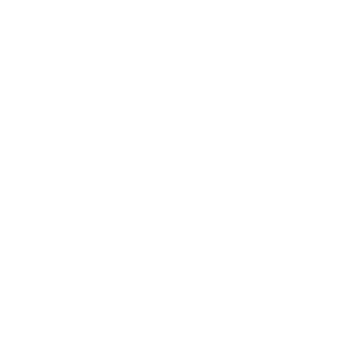 Psychout03's emblem