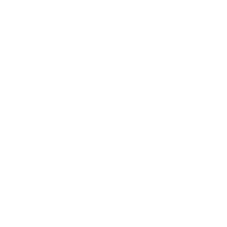 DrGnome's emblem