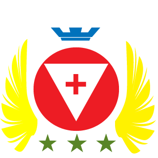 vistas_foxcode's emblem