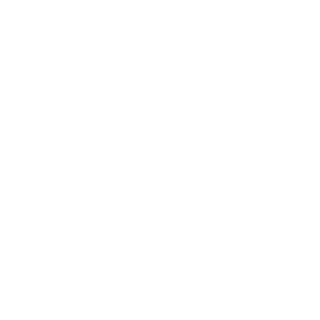 dizydamo's emblem