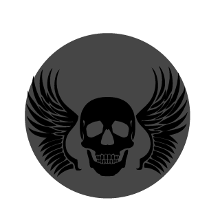 ll1Raven1ll's emblem