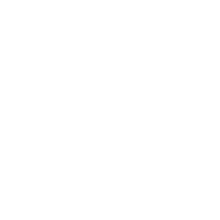 Shaokhan246's emblem