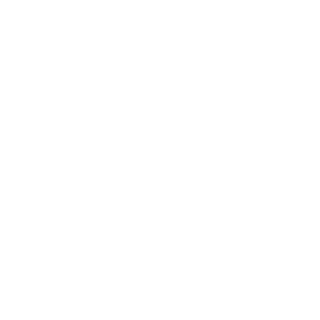 slepip's emblem