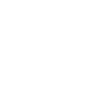Leaf317's emblem