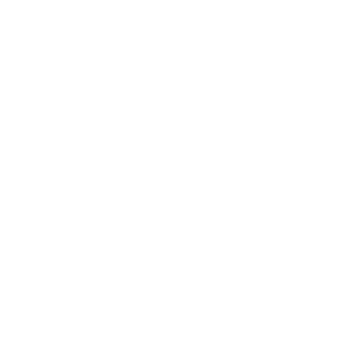 SportyCube's emblem