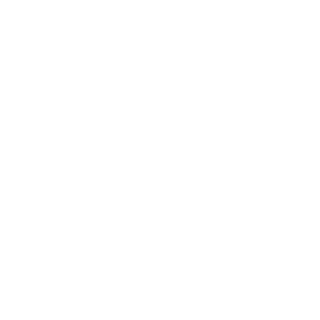 Ray_xgame's emblem