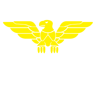 1SW1N1NJA_24RUS's emblem