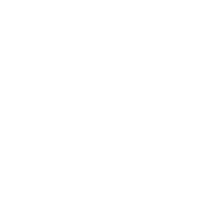 LISEU1337's emblem