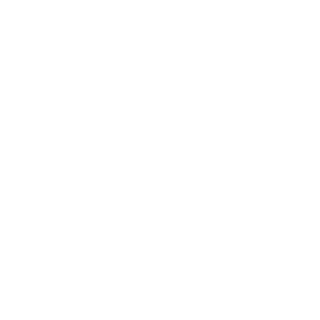 MagicDumpTruck's emblem