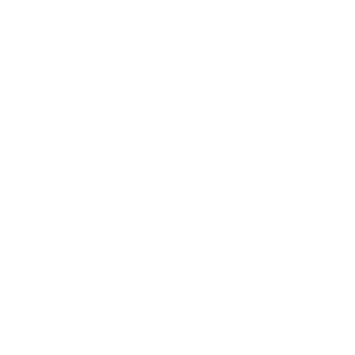 ilyes31x's emblem