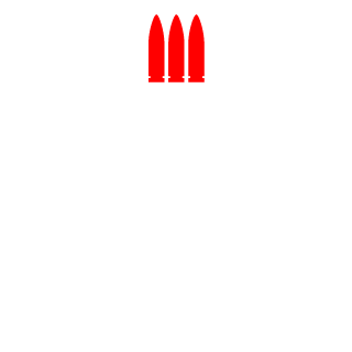SCHWARZENEGGER_B's emblem