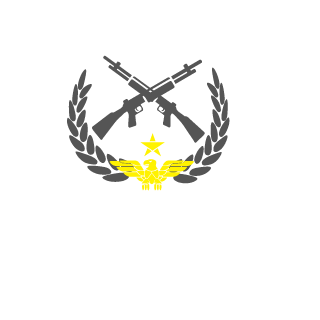 TNT VICIO's emblem