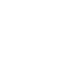 el_choro_galaxyy's emblem