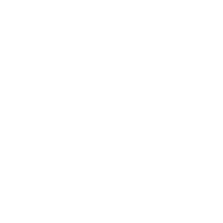 fony norks's emblem
