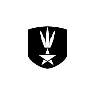 lt_B0nes's emblem