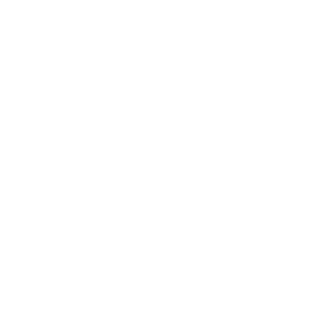 lICrashIl's emblem