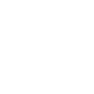 magnonbr99's emblem
