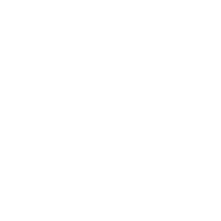 TT-WKL's emblem