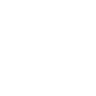 vabib's emblem