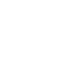 Risk_1411's emblem