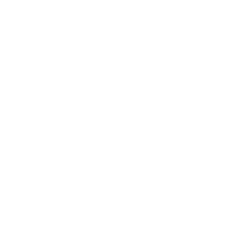 Bruddy0's emblem