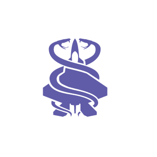 RNM62223766's emblem