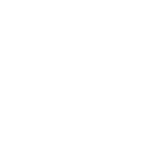 DanSARMAT's emblem