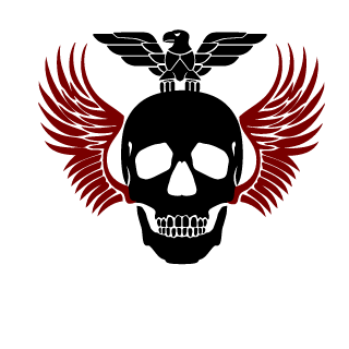 ZABiVNOY4321's emblem