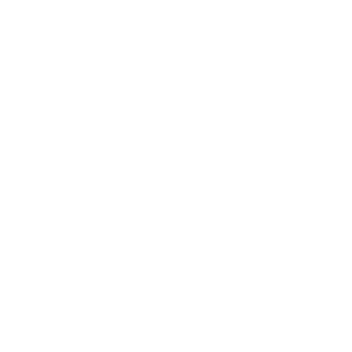 J12132's emblem
