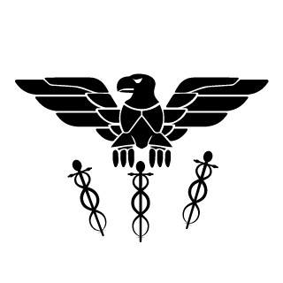 GwB DevilShock's emblem