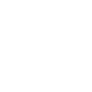 xSkyLakex's emblem