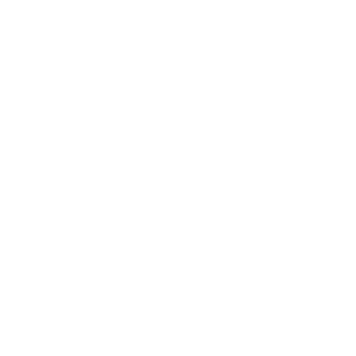 exT-b1's emblem