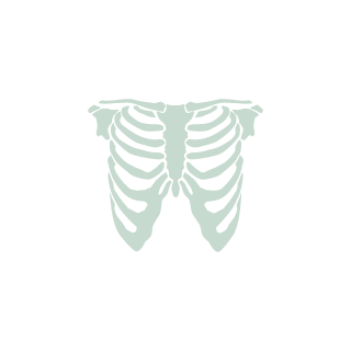 pabloricardo2's emblem