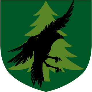 TechnoWiking3r's emblem
