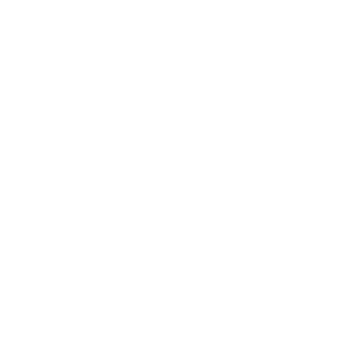 NightKnigt0's emblem