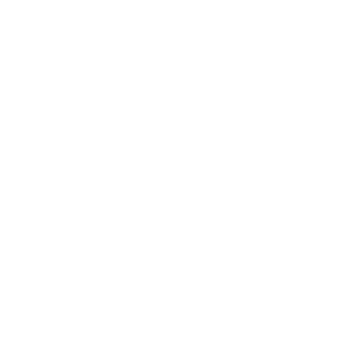 nmcdonald's emblem