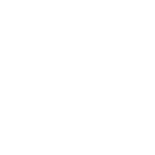 FlinkerElch's emblem