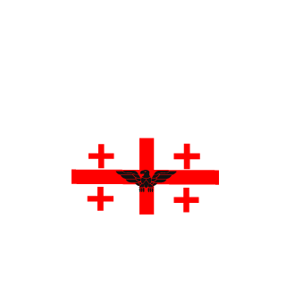 kill4563's emblem