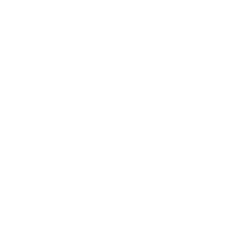 oN_p0inT98's emblem