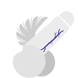 grumpysalad's emblem