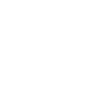 ZeldrisSama's emblem
